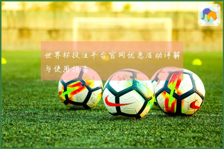 世界杯投注平台官网优惠活动详解与使用指南