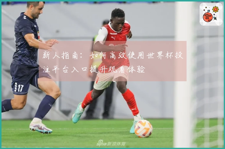 新人指南：如何高效使用世界杯投注平台入口提升观看体验