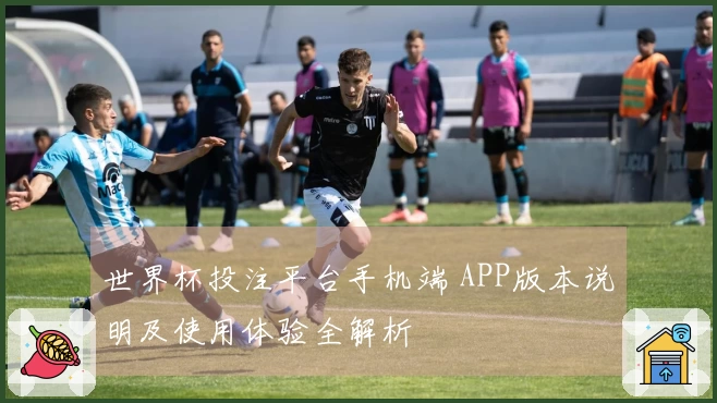 世界杯投注平台手机端 APP版本说明及使用体验全解析