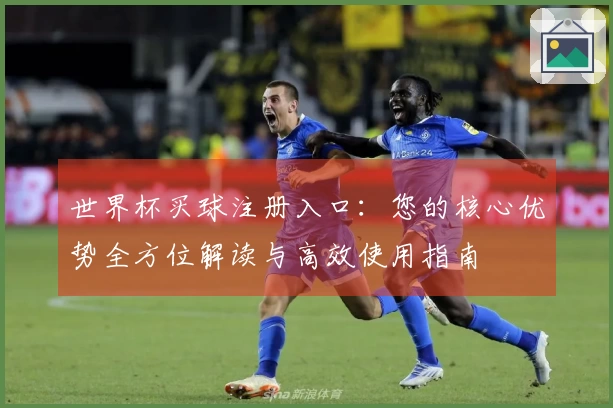 世界杯买球注册入口：您的核心优势全方位解读与高效使用指南
