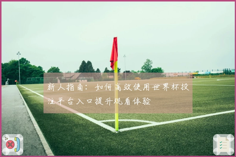 新人指南：如何高效使用世界杯投注平台入口提升观看体验