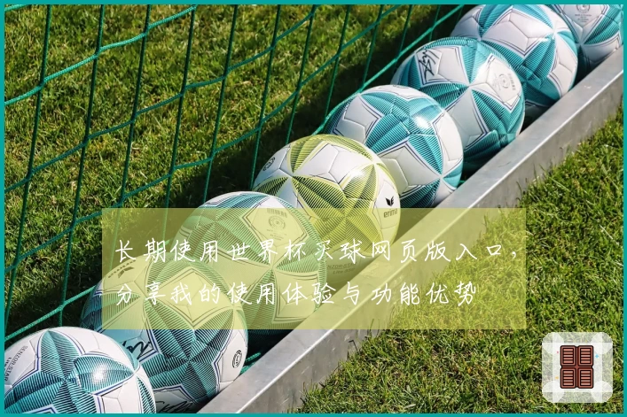 长期使用世界杯买球网页版入口，分享我的使用体验与功能优势