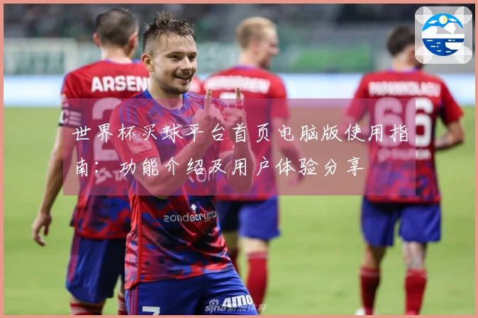 世界杯买球平台首页电脑版使用指南：功能介绍及用户体验分享