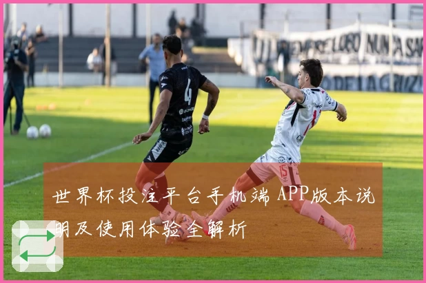 世界杯投注平台手机端 APP版本说明及使用体验全解析